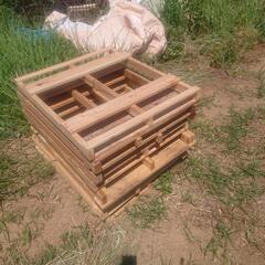 パレット小 キレイ現在一枚