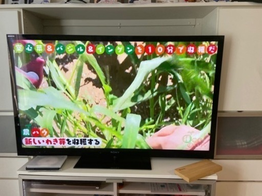 2011年製　SONY BRAVIA