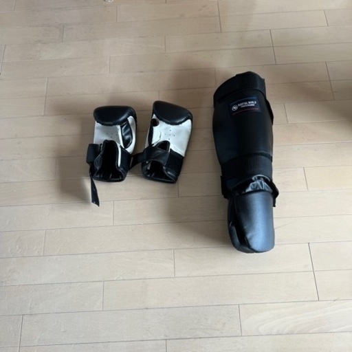 グローブ　キックレガース