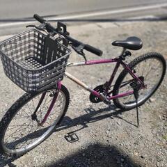 TREK マウンテンバイク