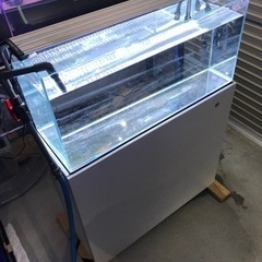900オールガラス水槽　フレームレス水槽　ハイタイプ‼️