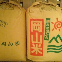 冷めても美味しい◇令和6年度新米! 《きぬむすめ》玄米30kg