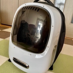 【お譲り先決定】ペット　キャリーバッグ