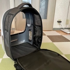 【お譲り先決定】ペット　キャリーバッグの画像
