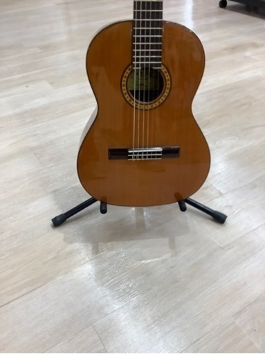 楽器 ariapepe PS53