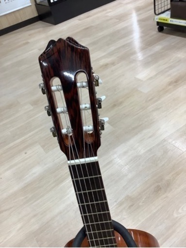 楽器 ariapepe PS53