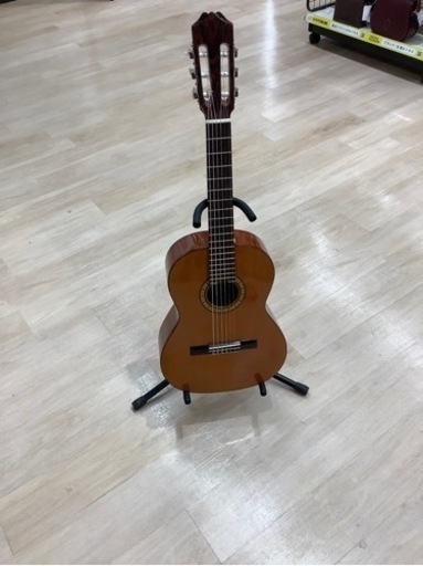 楽器 ariapepe PS53