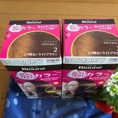 KAO ブローネ 白髪用ヘアカラーの画像