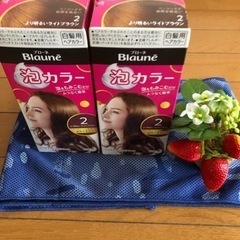 KAO ブローネ 白髪用ヘアカラー