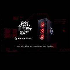 GALLERIA CRA7C-R37 Crazy Raccoon