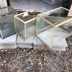 【2000】水槽　三つの画像