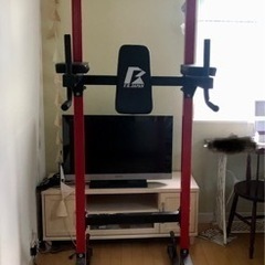 【お譲り先決まりました】懸垂マシン　F.R.JAPAN