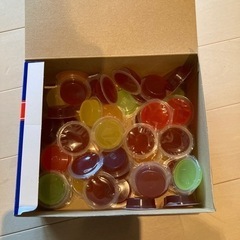 昆虫ゼリー　44個