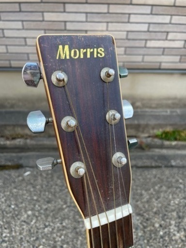 Morris モーリス アコースティックギター