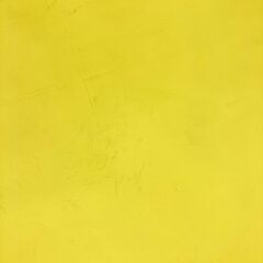 【無料で差し上げます】中古品・スーペリア撮影用背景紙 50アスペン 2.72x約6m 写真撮影・ポートレート撮影・動画撮影・物撮り撮影・自撮り撮影・tiktok撮影・youtube撮影・Live配信に　工作用の大きな画用紙にもの画像