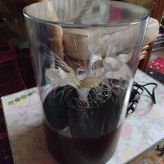 昭和レトロ・アンテーク　ファンタムフラワライト【すみれ】 箱有り RK-3Pの画像