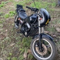 エリミネーター250SE　純正ビキニカウル カワサキ エリミネーター250SE 純正ビキニカウル - メルカリ
