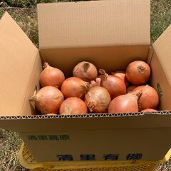 玉葱大玉1個400ｇ～500ｇ 1キロ ￥100円