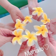 南区フラダンス教室🌺専用スタジオオープン✨️につき生徒大募集です(‪‪ஐ‬‬ᴗ͈ ᴗ͈)"の画像
