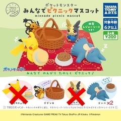 未開封 ポケットモンスター みんなでピクニックマスコット デデン...