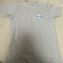 RIPNDIPTシャツ