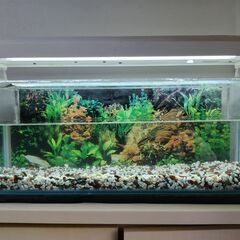 コトブキ60cm水槽＋観賞魚用蛍光灯器具