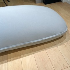 ビーズクッション 特大サイズ ビーンズMAX の画像