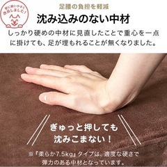 再値下げ！ドッグ　ステップの画像