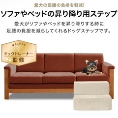 再値下げ！ドッグ　ステップの画像