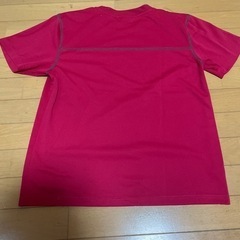 夏服Tシャツの画像
