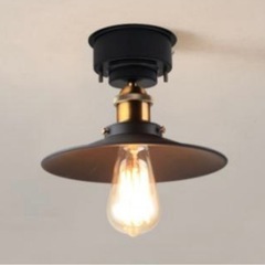 シーリングライト(LEDライト付き)