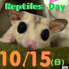 New Reptiles Day 𝟮𝗻𝗱  - その他