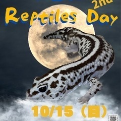 New Reptiles Day 𝟮𝗻𝗱  - 空知郡