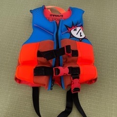 【決まりました】キッズ用ライフジャケットの画像