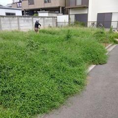 日払い★9月★毎日が給料日★草刈補助！
