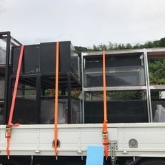 熱帯魚、水槽お売りください！ - 買いたい/ください