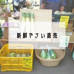 フリマ 軒先 マルシェ 保護猫  🐈 ふれあい体験  チャリティー バザー 9月10日 - イベント