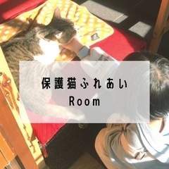 フリマ 軒先 マルシェ 保護猫  🐈 ふれあい体験  チャリティー バザー 9月10日 - フリーマーケット