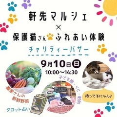 フリマ 軒先 マルシェ 保護猫  🐈 ふれあい体験  チャリティ...
