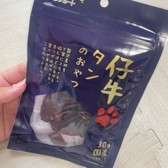 犬のおやつ