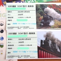 大井川鐵道 トーマス号 チケット2枚の画像