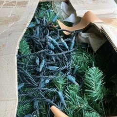 クリスマスツリーの画像