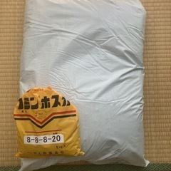 【園芸用土:  種苗店にて購入】フミンホスカ付き