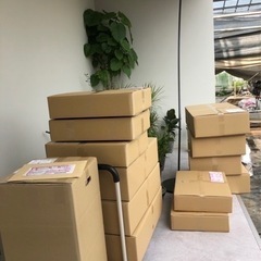 【簡単】植物の梱包・発送・水やり作業　時給1100円　勤務時間要相談の画像