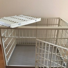 犬用ケージ★アイリスオーヤマの画像