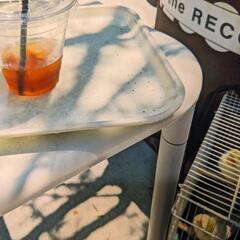 美術館やカフェ、クラシック好きな方とお友達に