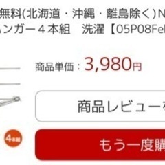 【新品未使用】一生モノ！ステンレスバスタオルハンガー4本セット洗濯ハンガー ランドリーハンガーの画像