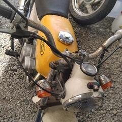 エイプ50cc　の画像