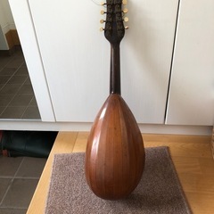 マンドリン（ジャンク）の画像