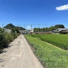 南向きの広々宅地約200坪